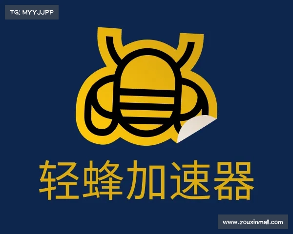 关于轻蜂加速器